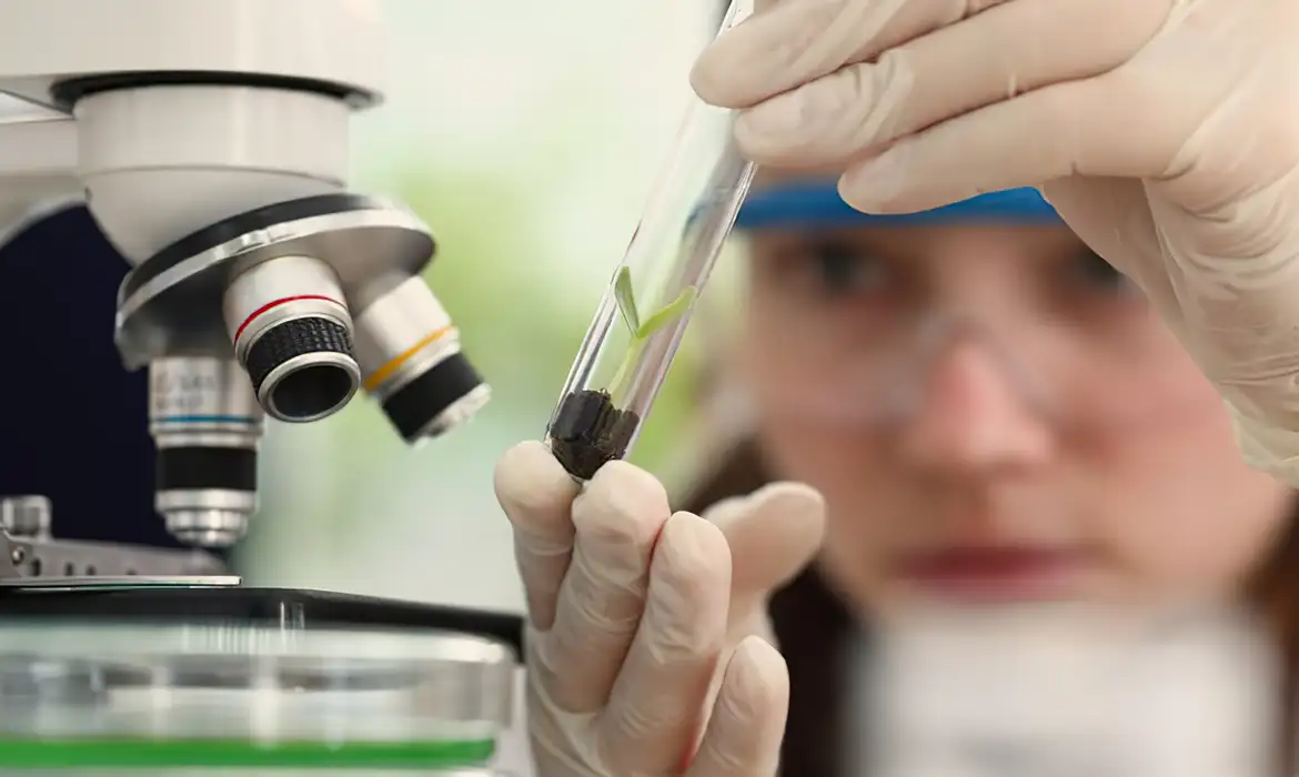 Jovens cientistas podem concorrer a prêmio de até R$ 13 mil; veja sobre a inscrição 