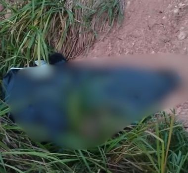 Imagem - Corpo de homem desaparecido é encontrado às margens da BR-155, em Xinguara, no Pará