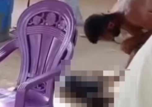 (A cena cruel, queo homem mata um animal indefeso, foi registrada por terceiros.) 
