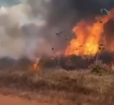 Imagem - Incêndio em vegetação espalha e ameaça moradias em Zona Rural de Alenquer