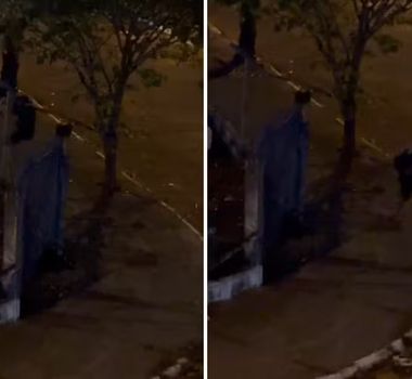 Imagem - Sem uma das pernas, homem furta oficina e foge de bicicleta no interior de São Paulo