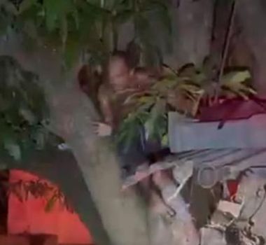 Imagem - Suspeito de roubo é encontrado escondido em mangueira durante fuga da PM em Belém