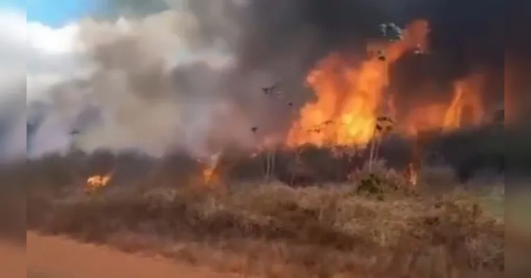 Incêndio chegou a áreas residenciais e atingiu pontes -