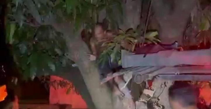 Suspeito de roubo é encontrado escondido em mangueira durante fuga da PM em Belém