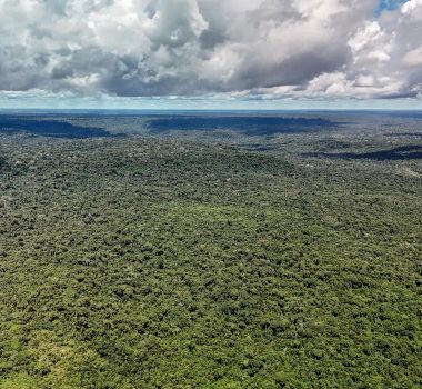 Imagem - Devastação na Amazônia pode quebrar maior "máquina de chuva" do mundo