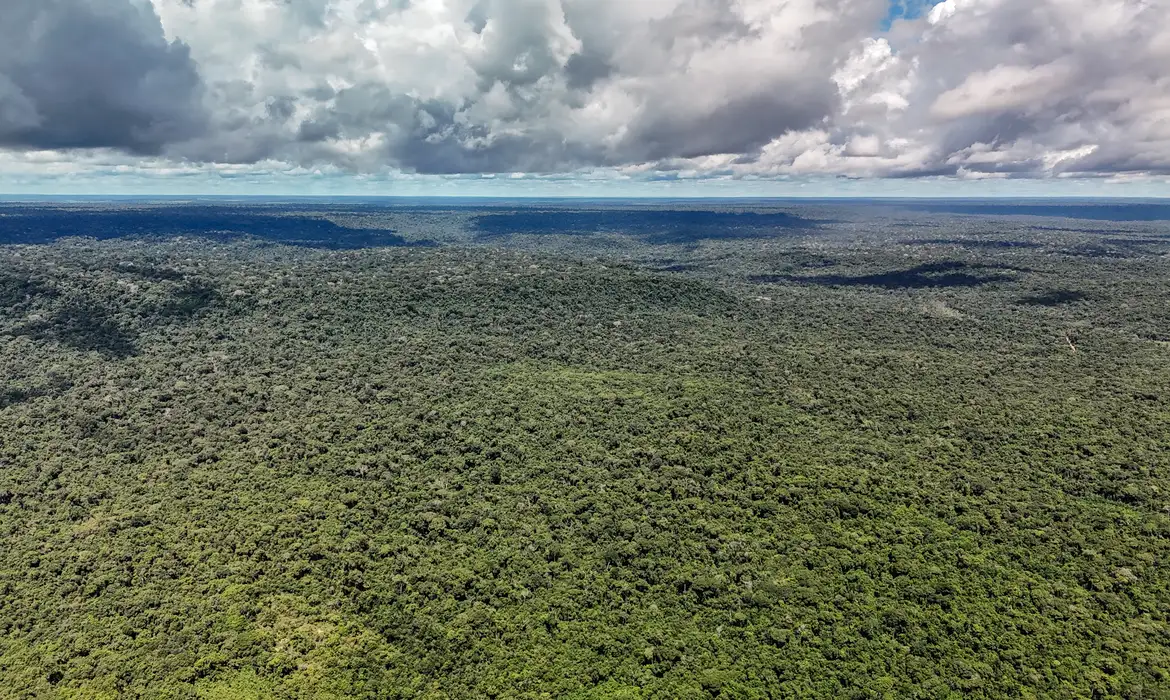 Imagem - Devastação na Amazônia pode quebrar maior "máquina de chuva" do mundo