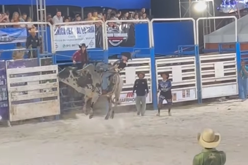 Peão ficou seis segundos montado no animal antes do acidente -