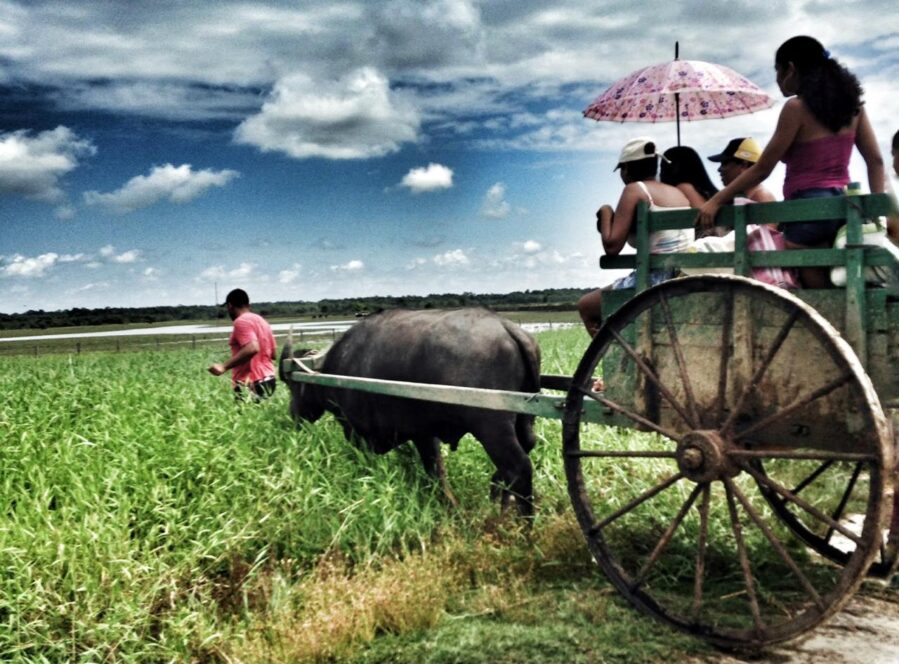 Exposição reúne 15 anos de fotografias sobre a vida no Marajó em Belém.