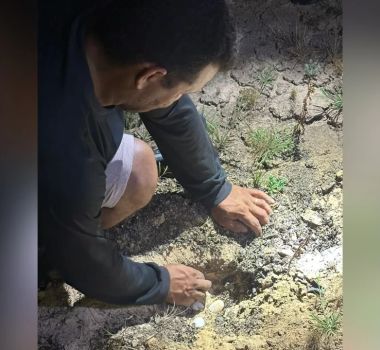 Imagem - Fiscalização é reforçada contra caça de tartarugas e coleta de ovos no Rio Tocantins