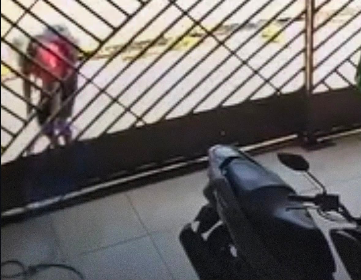 Homem é flagrado por câmera de segurança furtando mangueira de residência em Belém