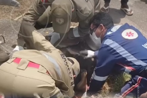 (Uma das vítimas envolvidas na ocorrência acabou caindo dentro de um bueiro e precisou ser resgatada por equipes do Corpo de Bombeiros e do Samu.)