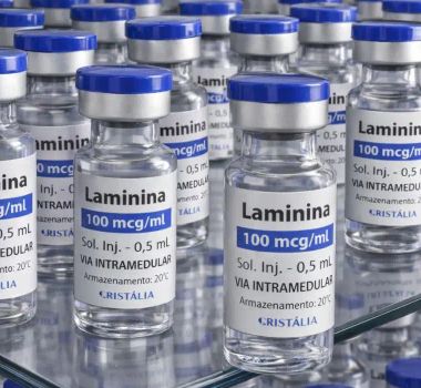 Imagem - Testes clínicos fase 1 da polilaminina começam este mês
