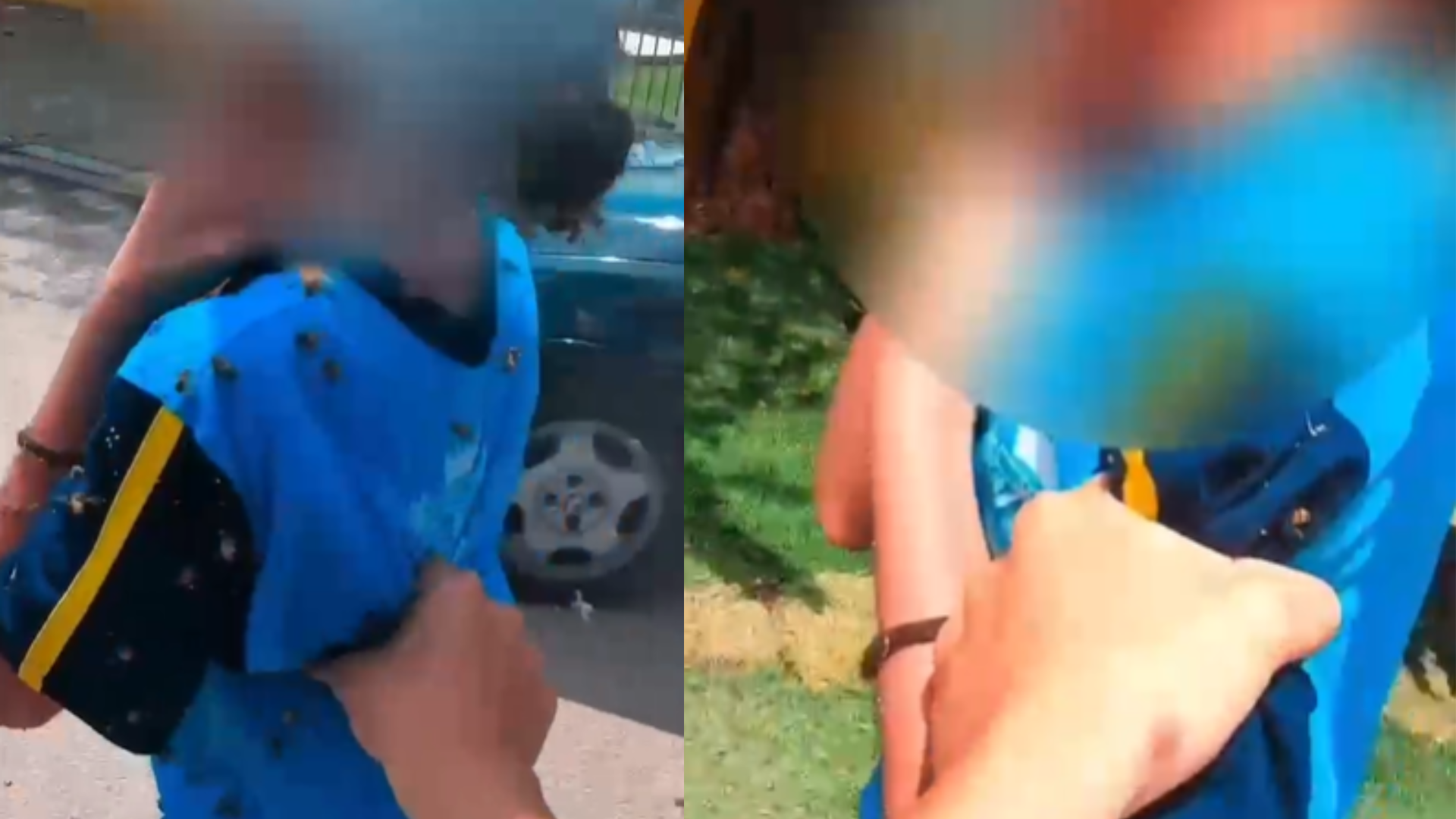 Motociclista para viagem para resgatar estudante cercada por enxame de abelhas
