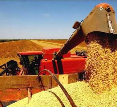 Imagem - Agricultura brasileira supera R$ 927 bilhões e bate recorde histórico de produção em 2025