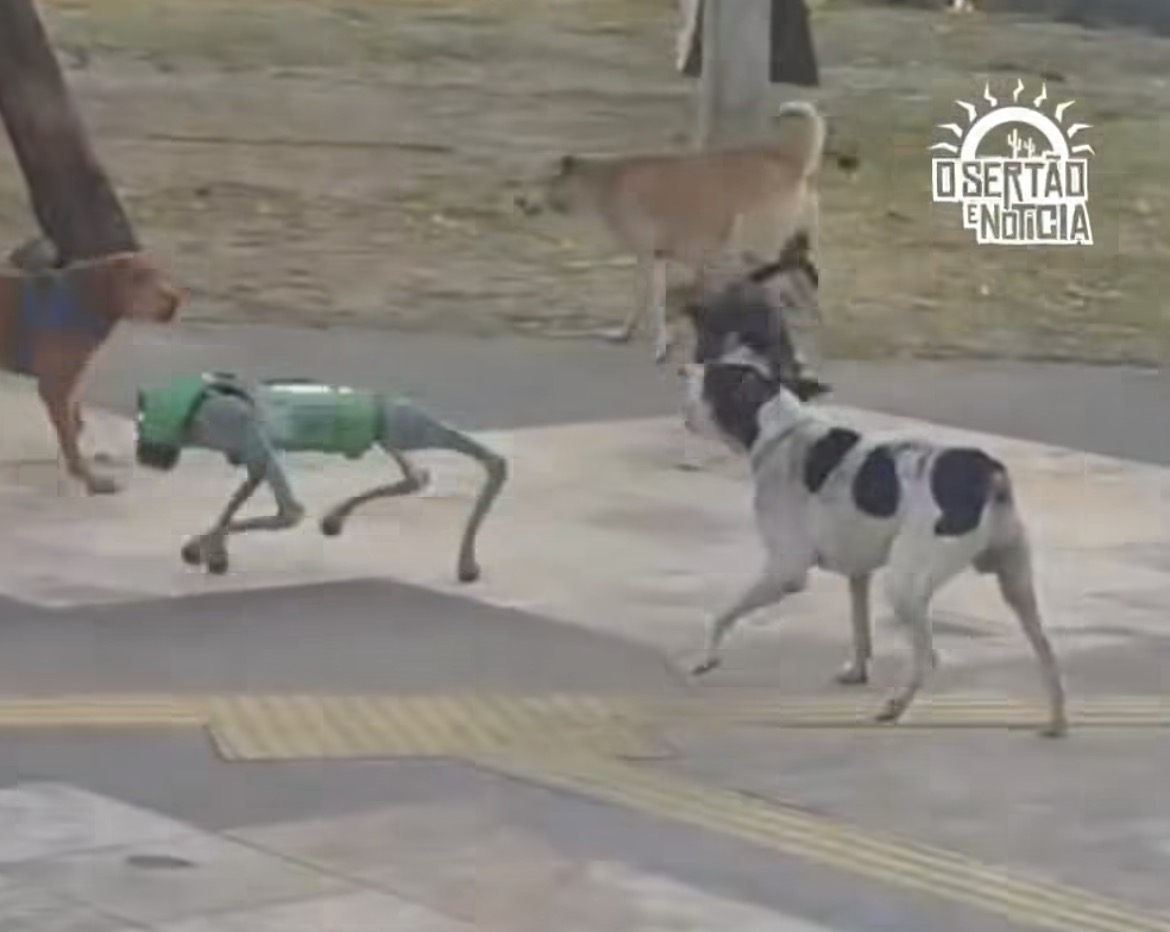 Cena chamou atenção de quem passava pelo local - 