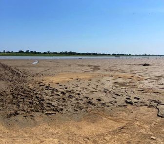 Imagem - El Niño: Pará tem três municípios afetados por seca e estiagem, aponta CNM