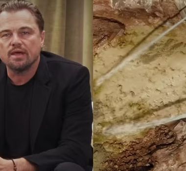 Imagem - Leonardo DiCaprio faz alerta sobre projeto de mina de ouro no Pará