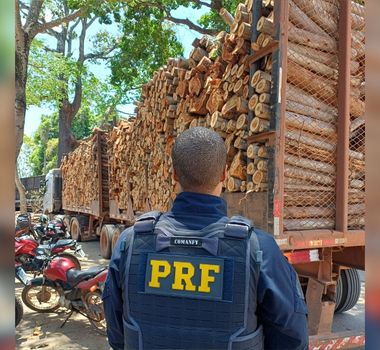 Imagem - PRF apreende madeira ilegal na BR-230, no Pará
