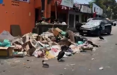 Imagem - Coleta de lixo em Ananindeua é alvo de críticas nas redes sociais; assista