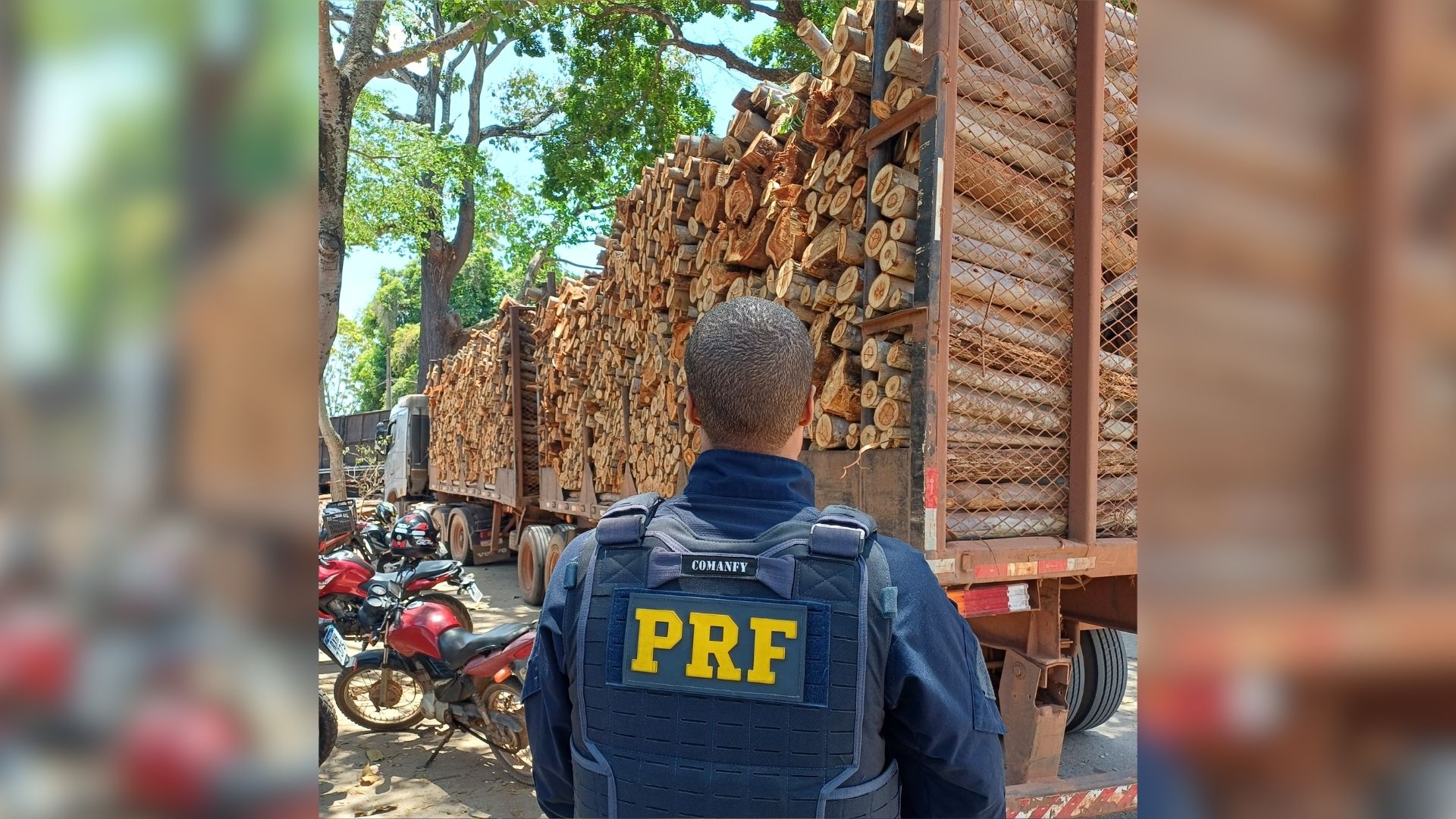 Polícia Rodoviária Federal (PRF) apreendeu 77,4 m³ de madeira transportada de forma irregular na manhã desta quarta-feira (23).