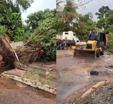Imagem - Chuva de granizo e ventos fortes derrubam árvore e causam estragos em Xinguara