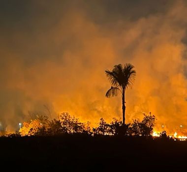 Imagem - Incêndio criminoso devasta área equivalente a 50 campos de futebol no Amazonas