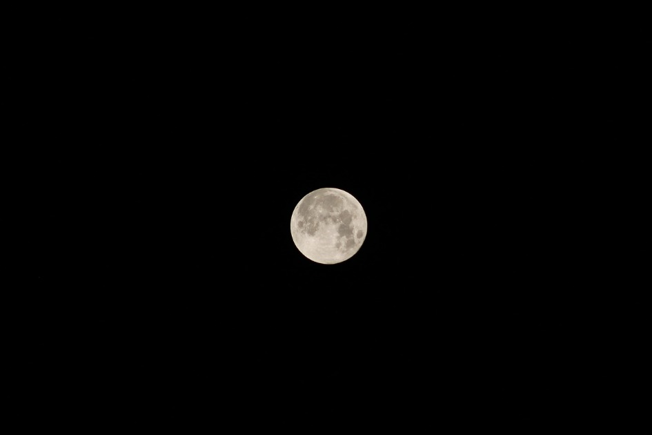Atividade será realizada das 19h às 21h30, no jardim do Museu do Instituto Evandro Chagas, na avenida Almirante Barroso

