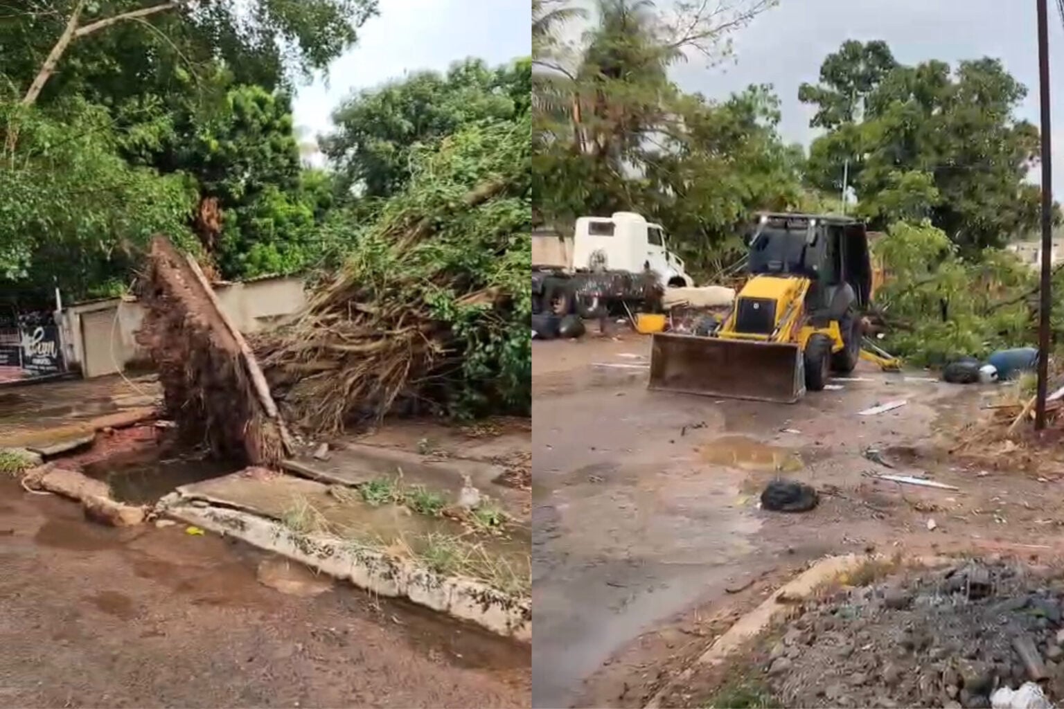 Chuva de granizo e ventos fortes derrubam árvore e causam estragos em Xinguara