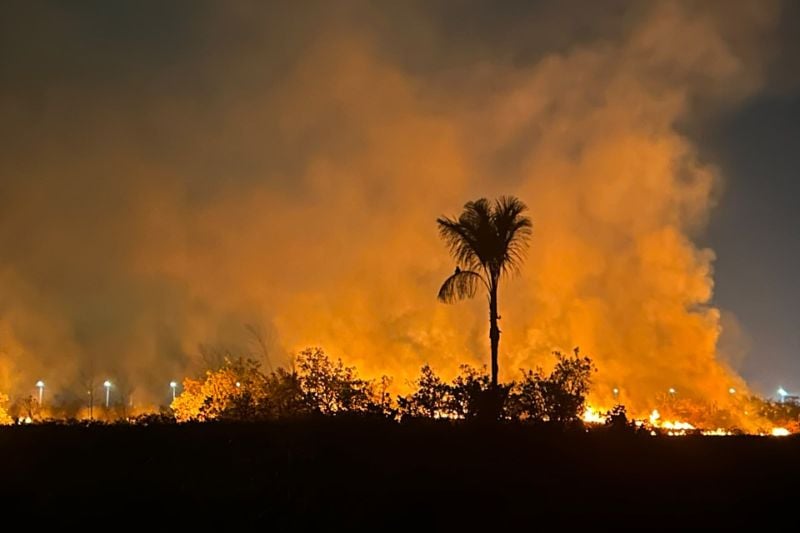 Incêndio criminoso devasta área equivalente a 50 campos de futebol no Amazonas