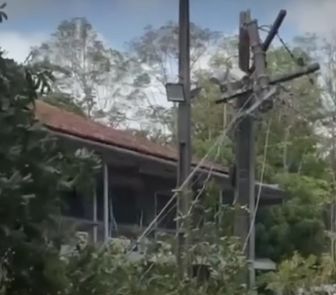 Imagem - Árvore cai sobre poste e causa transtornos deixando parte da UFPA sem energia