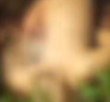Imagem - Homem é encontrado morto na estrada da Ceasa, em Belém