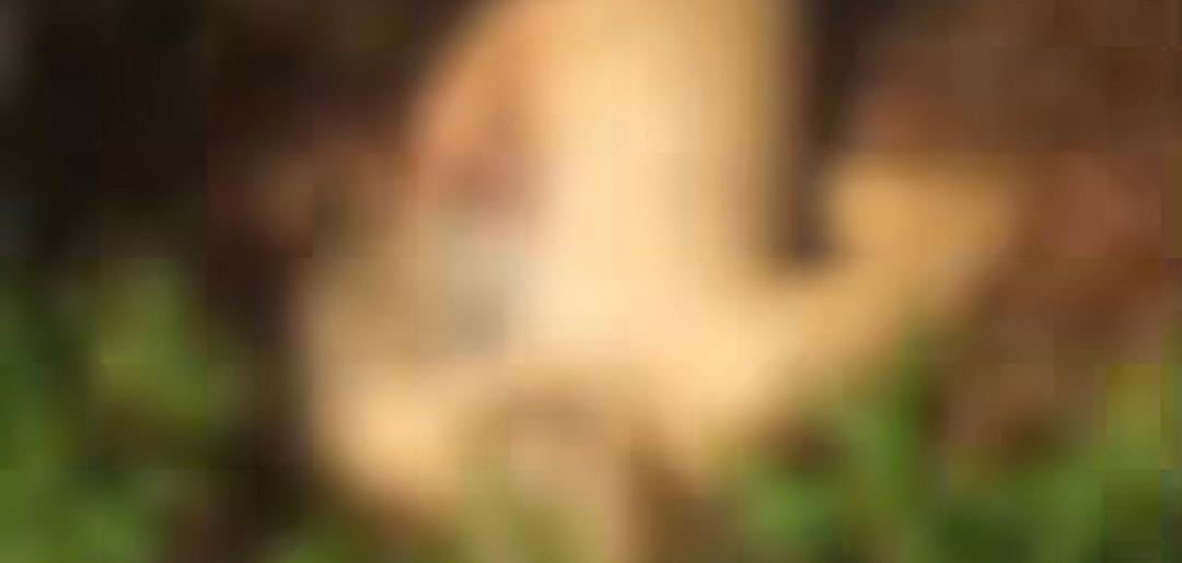 Imagem - Homem é encontrado morto na estrada da Ceasa, em Belém