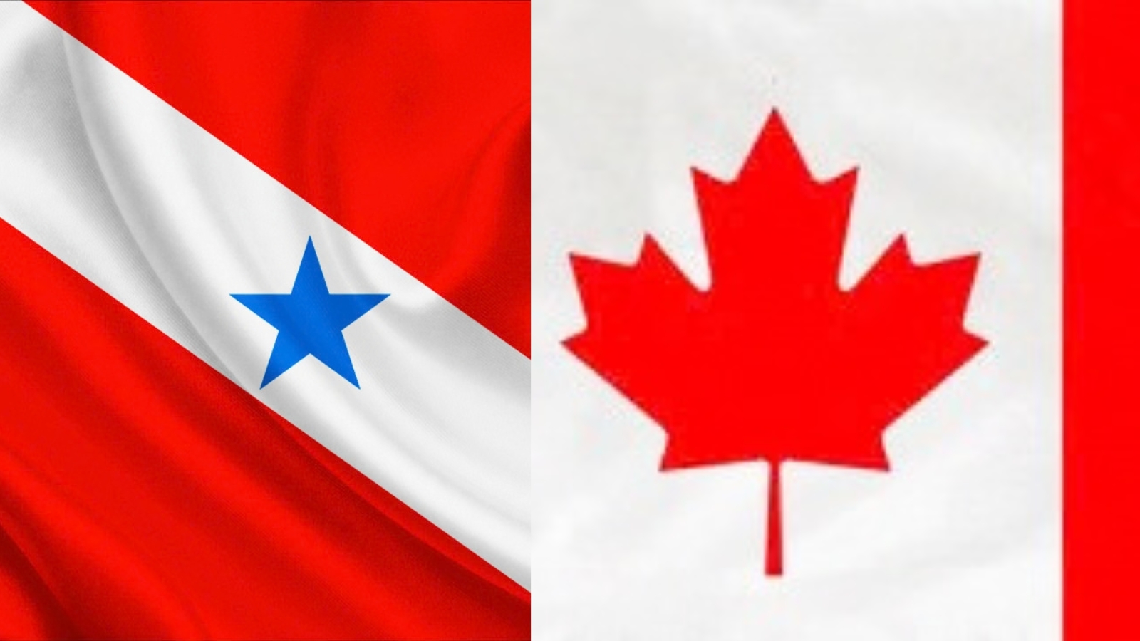 Objetivo da rodada de negócios é fortalecer a parceria de exportações entre Pará e Canadá