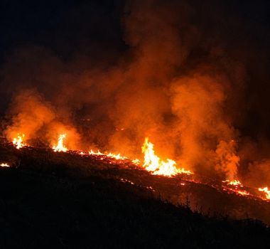 Imagem - Fogo é registrado às margens da BR-316, em Capanema; veja o vídeo