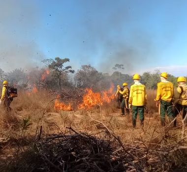 Imagem - Incêndio de grandes proporções atinge área de vegetação em Rurópolis; assista