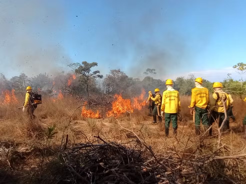 O avanço dos incêndios florestais levou Monte Alegre e Rurópolis a decretarem situação de emergência em setembro de 2026 -