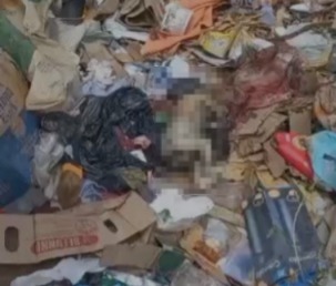 Um recém-nascido foi encontrado morto em meio aos resíduos do lixão municipal de Irituia