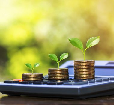 Imagem - Crédito verde avança e amplia investimentos sustentáveis na Amazônia
