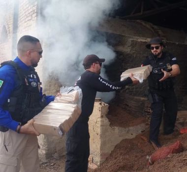 Imagem - Polícia Civil incinera 286 kg de drogas apreendidos em Marabá