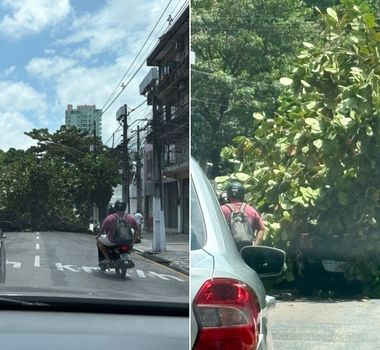 Imagem - Árvore cai e atinge veículo na Avenida Alcindo Cacela, em Belém