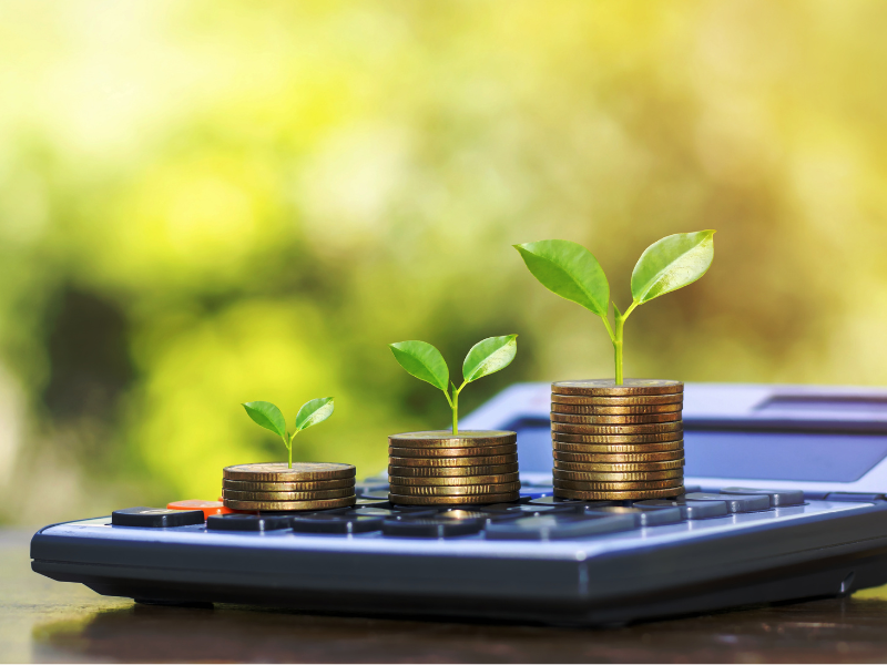 Crédito verde avança e amplia investimentos sustentáveis na Amazônia. 