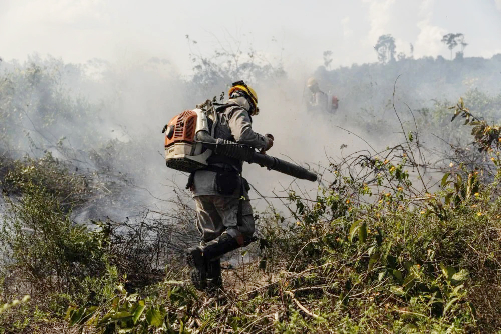 Arquipélago do Marajó vem sofrendo com as constanes queimadas da vegetação