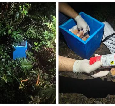 Imagem - Polícia encontra material radioativo roubado de van em terreno baldio em SP