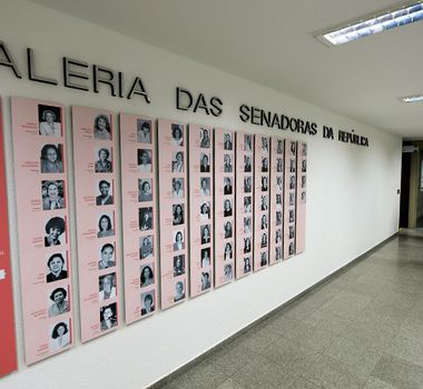 Imagem - Doze mulheres foram eleitas para o Senado nas eleições deste ano; confira a lista