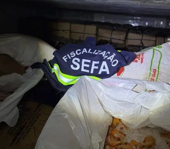 Imagem - Oito toneladas de camarão são aprendidas escondidas em carga de sal no Pará