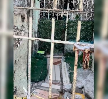 Imagem - Animais são encontrados em situação de abandono no bairro da Batista Campos, em Belém