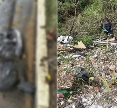 Imagem - Polícia investiga nove mortes suspeitas de execução em um mês em SP