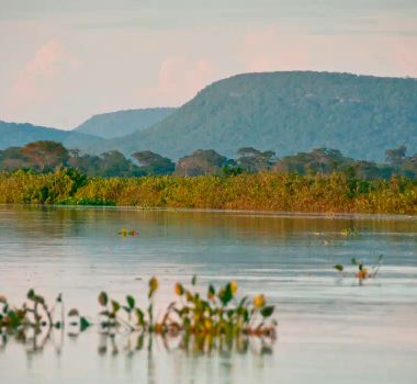 Imagem - A destruição silenciosa da vegetação à beira dos rios que ameaça o futuro da água no Brasil