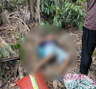 Imagem - Homem confessa ter matado o próprio irmão durante ida para tirar açaí em Anajás