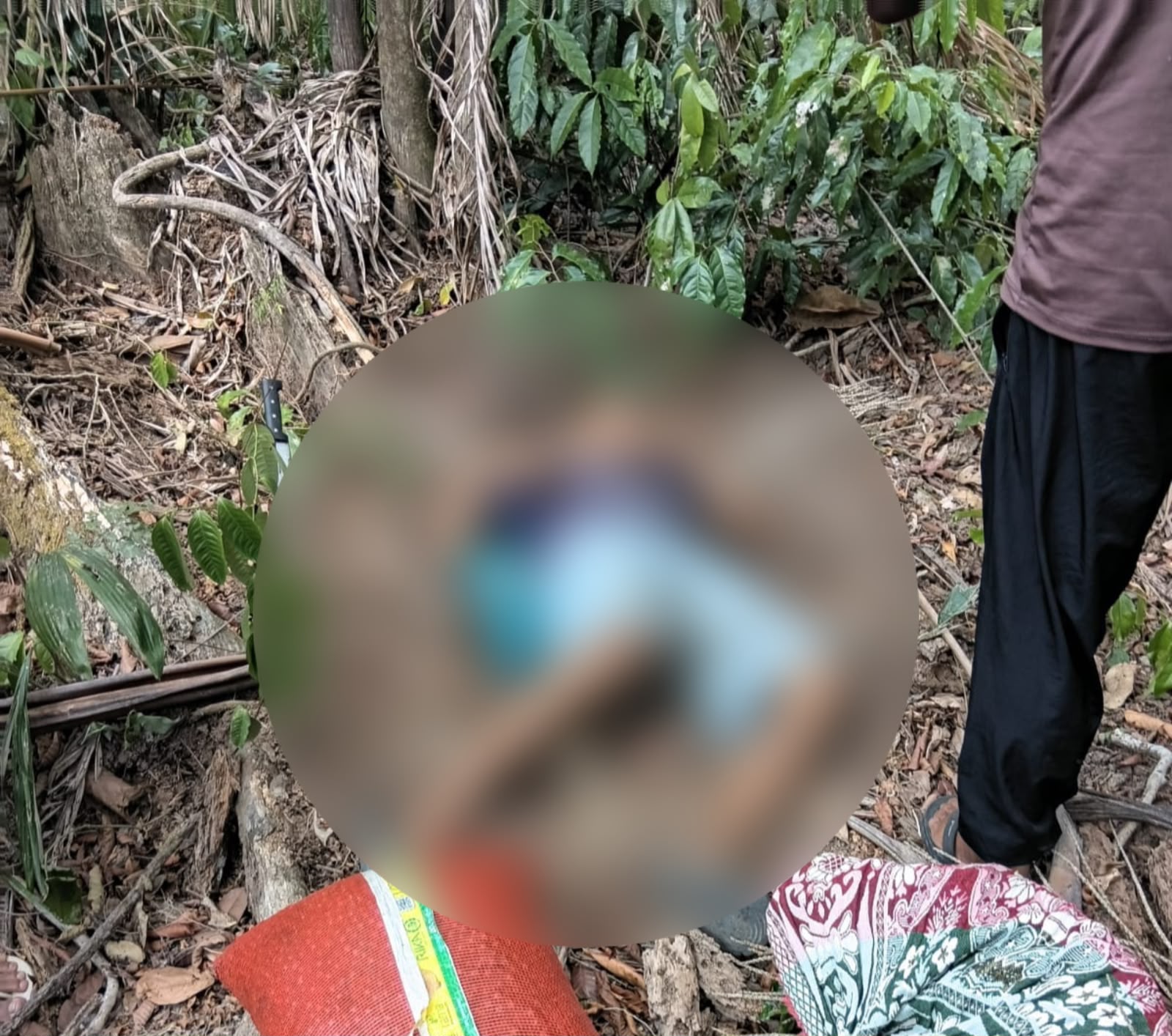 Vítima foi encontrada morta em uma área de mata após sair para tirar açaí com o irmão